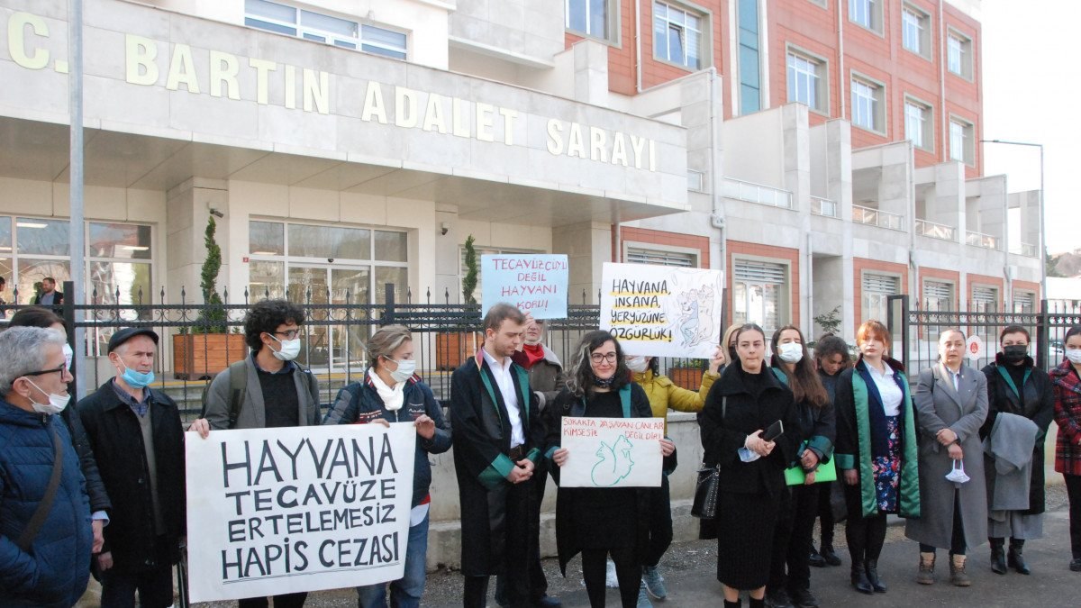 Bartın’da köpeğe cinsel istismar sanık avukatı, iktidarsızlık tespiti istedi