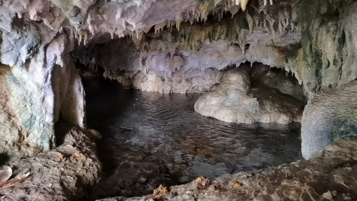 Bursa'da hayvan otlatan besiciler, mağara keşfetti