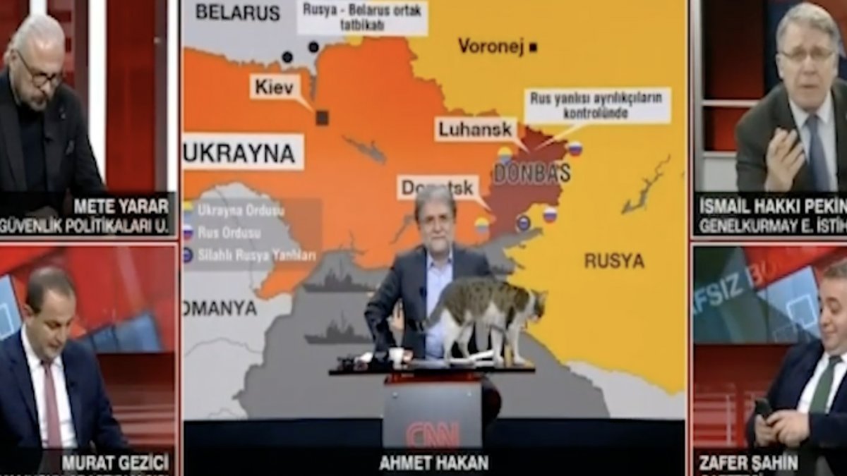 CNN Türk canlı yayınını kedi bastı
