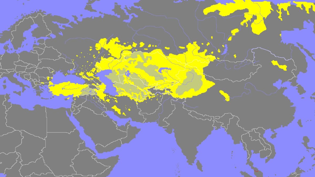 Pantürkizm nedir