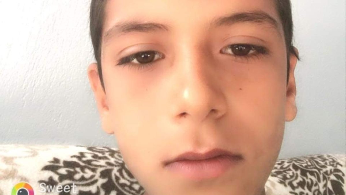 Aydın'da 14 yaşındaki öğrenci kamyonetin altında can verdi