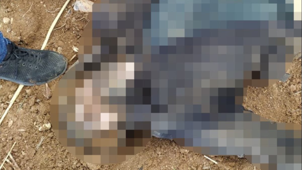 Şanlıurfa'da polisleri şehit eden saldırgan ölü ele geçirildi