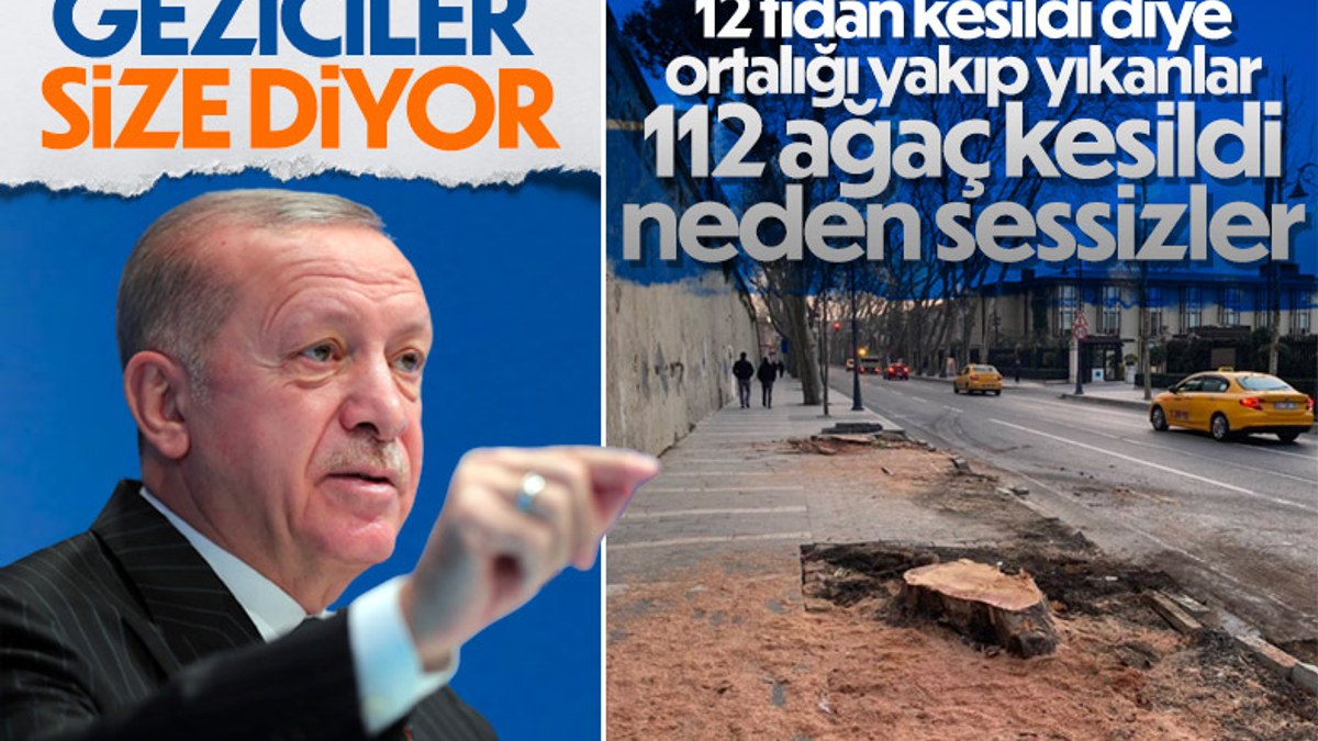Cumhurbaşkanı Erdoğan'dan İBB'ye ağaç tepkisi