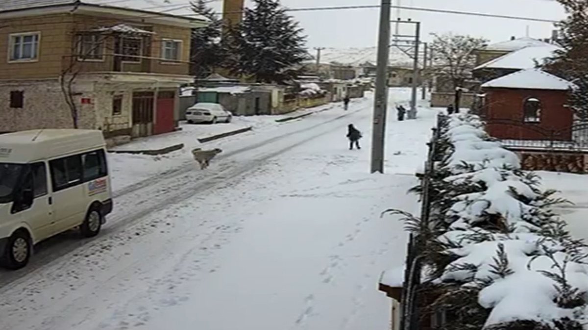 Nevşehir'de çocuğu kovalayan sokak köpeği kamerada