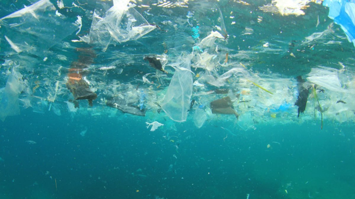 Dünya'yı tehdit eden mikro plastikler her yere yayıldı
