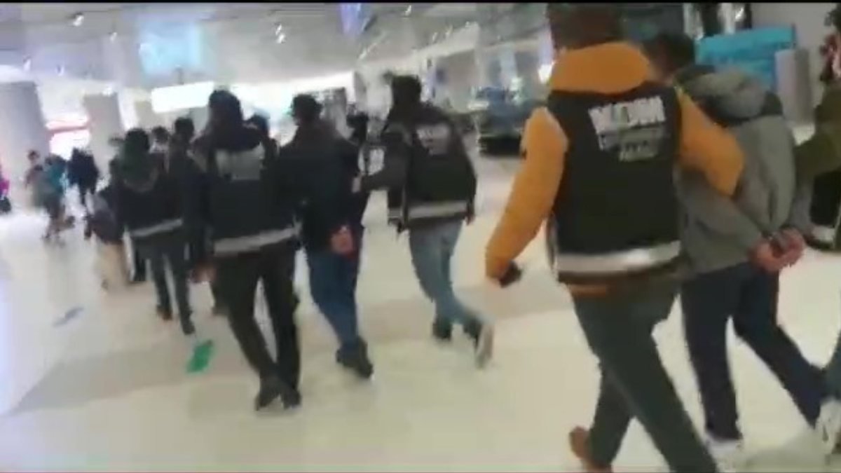 İstanbul'da kaçak yolla yurt dışına götüren şebekeye operasyon