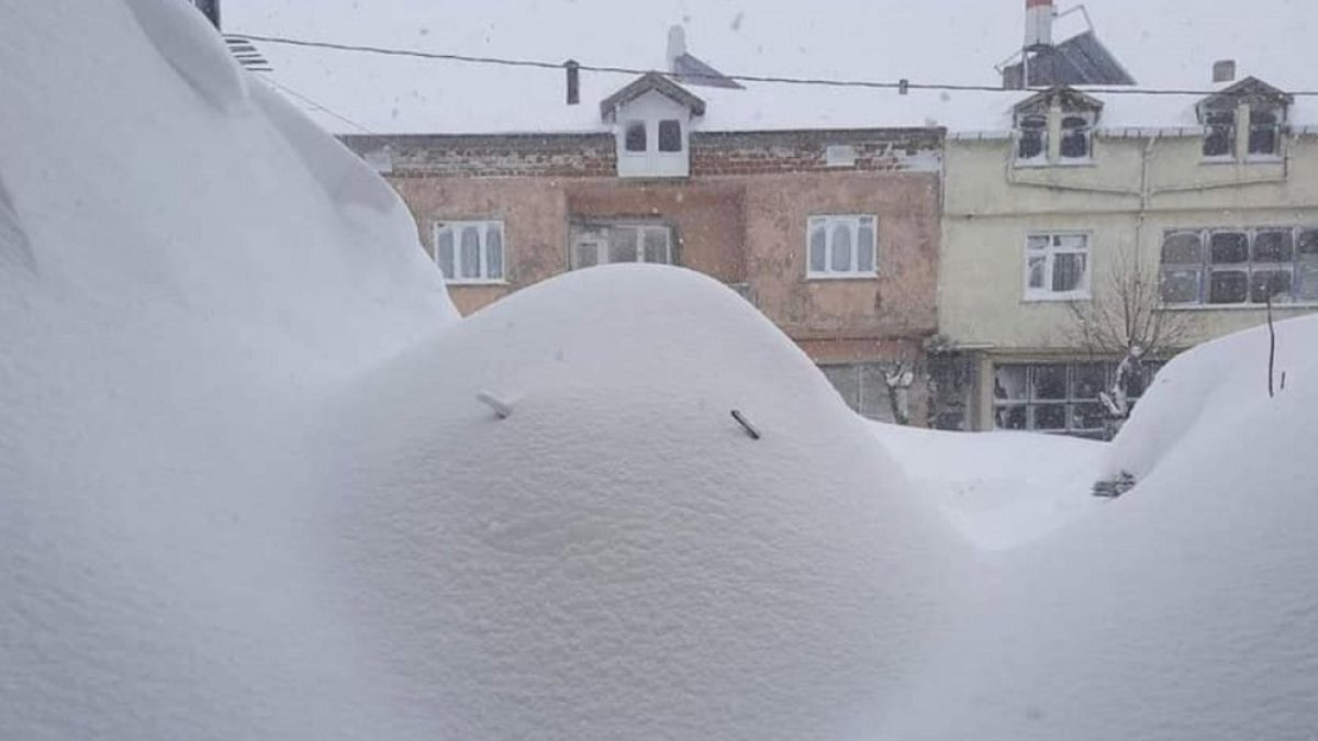 Doğu Karadeniz'de kar yağışı hayatı olumsuz etkiliyor