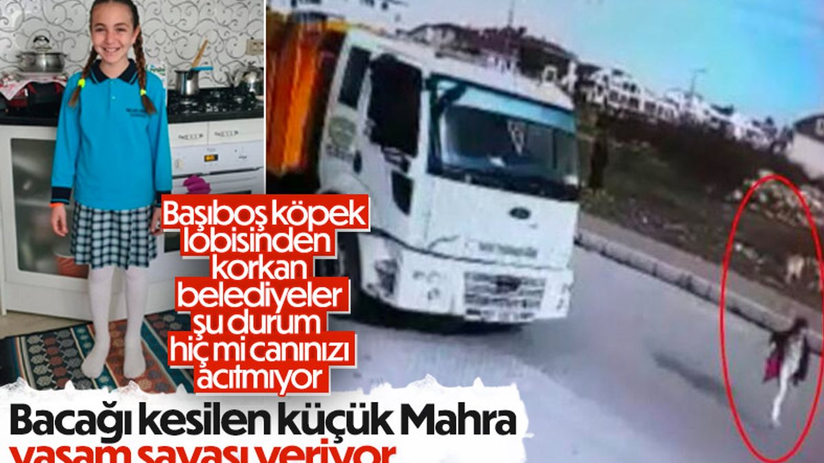 Antalya’da köpekten kaçarken kamyonun ezdiği Mahra’nın son durumu