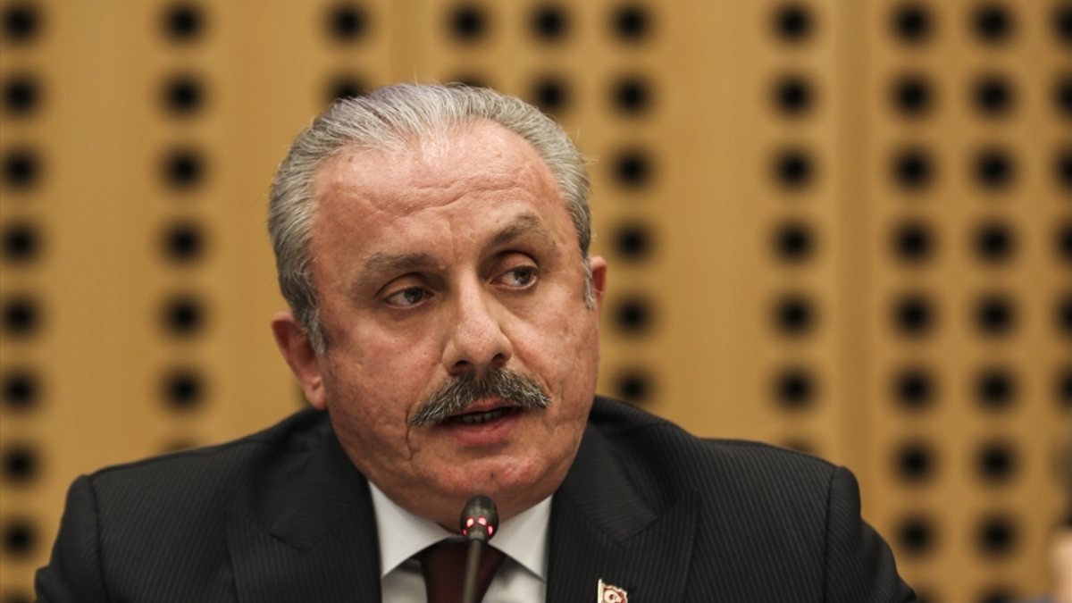 Mustafa Şentop'tan AB toplantısında tepki: Türkiye'ye at gözlüğü ile bakmayın