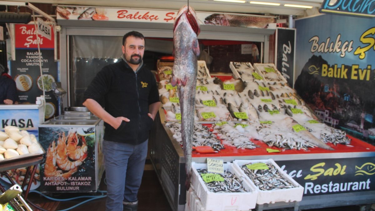 Tokat'ta yakalanan 40 kiloluk yayın balığı Amasya'da satışa sunuldu