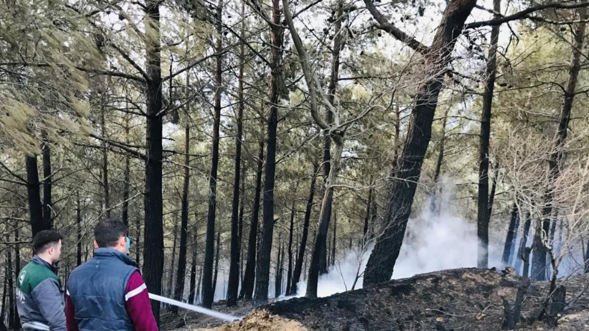 Çanakkale'de çıkan orman yangını 18 saat sonra kontrol altında