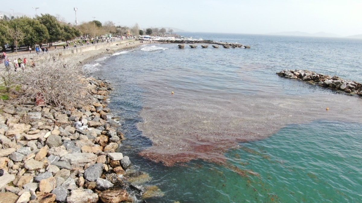 Caddebostan'da deniz çekildi, yer yer kirlilik oluştu