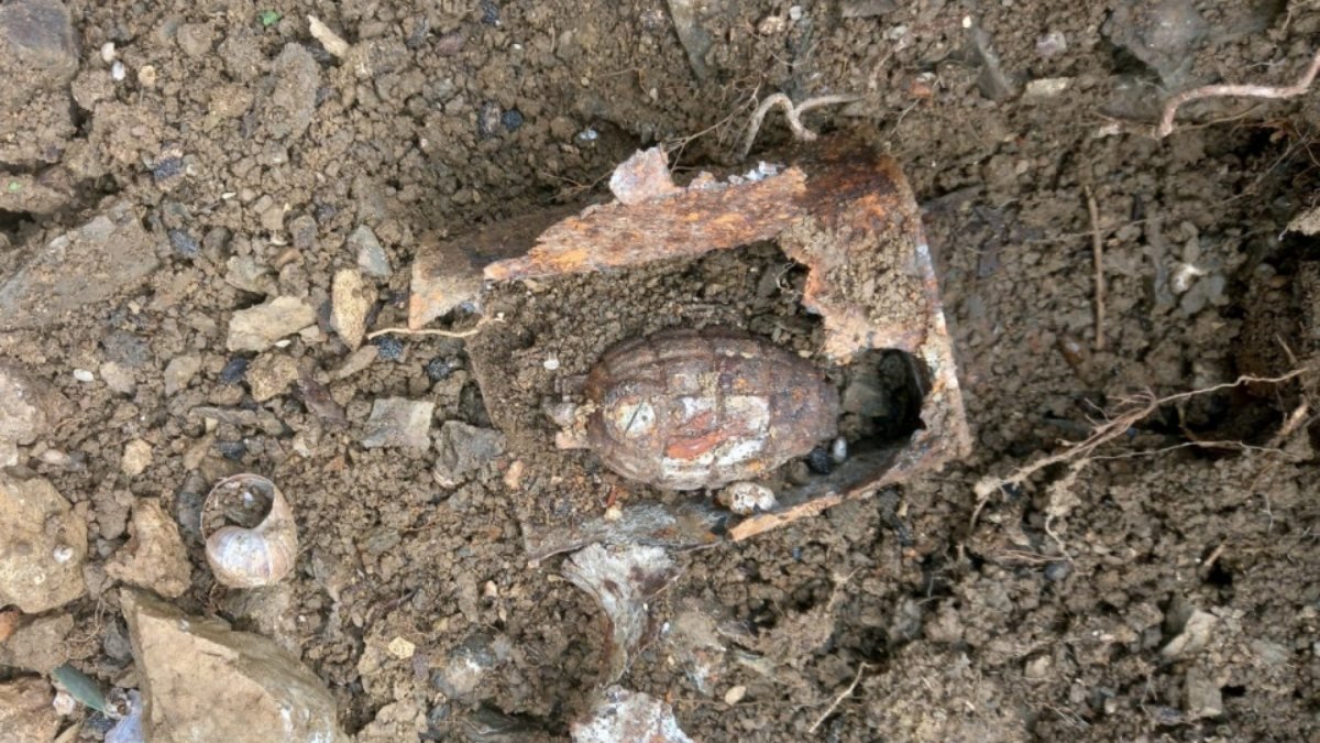 Sakarya'da bahçe temizliği sırasında el bombası bulundu