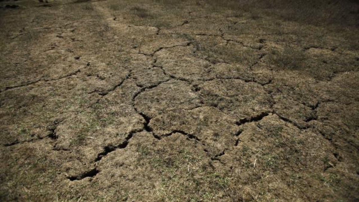 Teksas’ın yüzde 88'inde kuraklık var