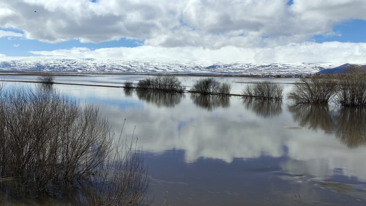 Ardahan'da karların erimesi sonucu Kura Nehri taştı