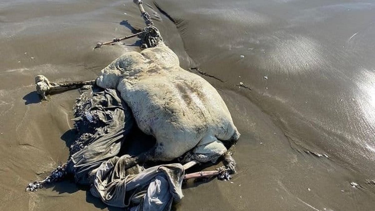 Hatay'daki sahilde başı olmayan, bazı uzuvları çürümüş ceset bulundu