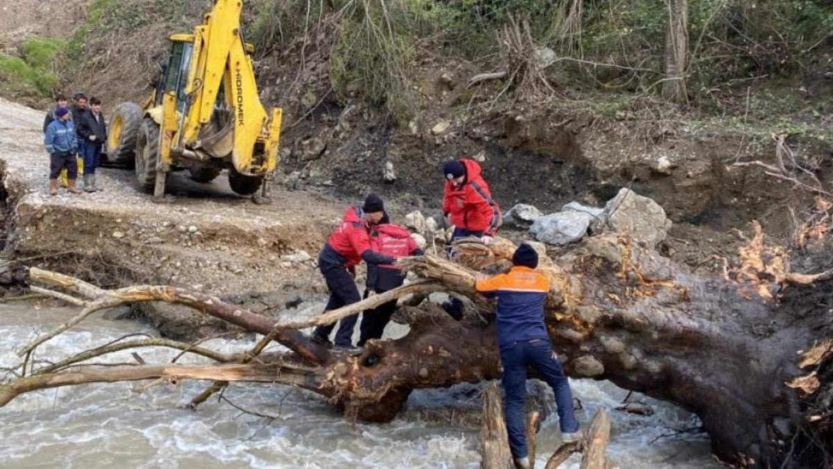 Kastamonu'da hasta için ağaç kökünden köprü yaptılar