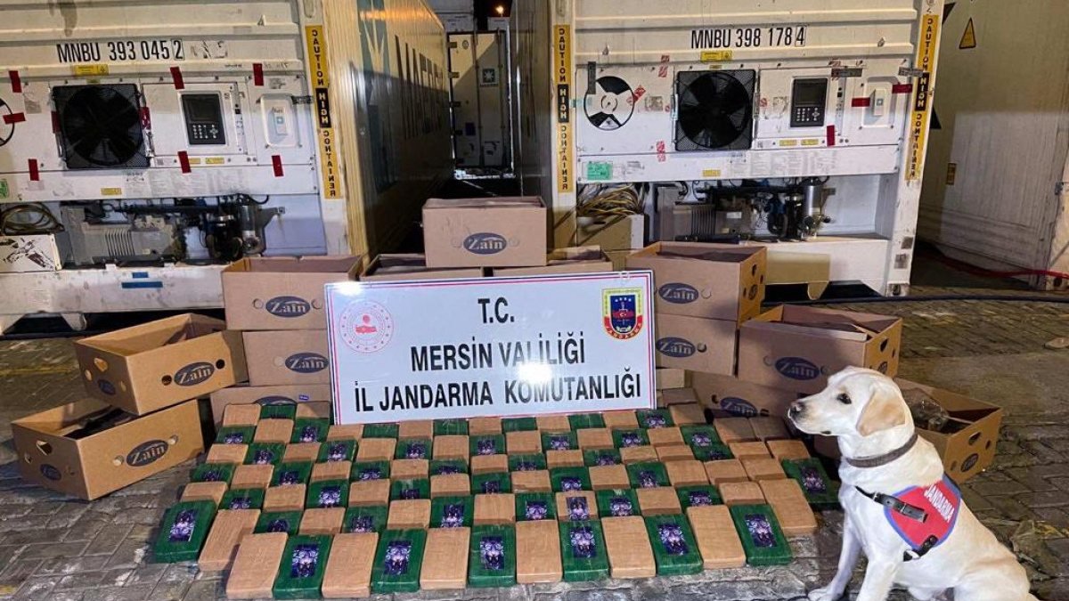Mersin Limanı'nda 258 kilo kokain geçirildi
