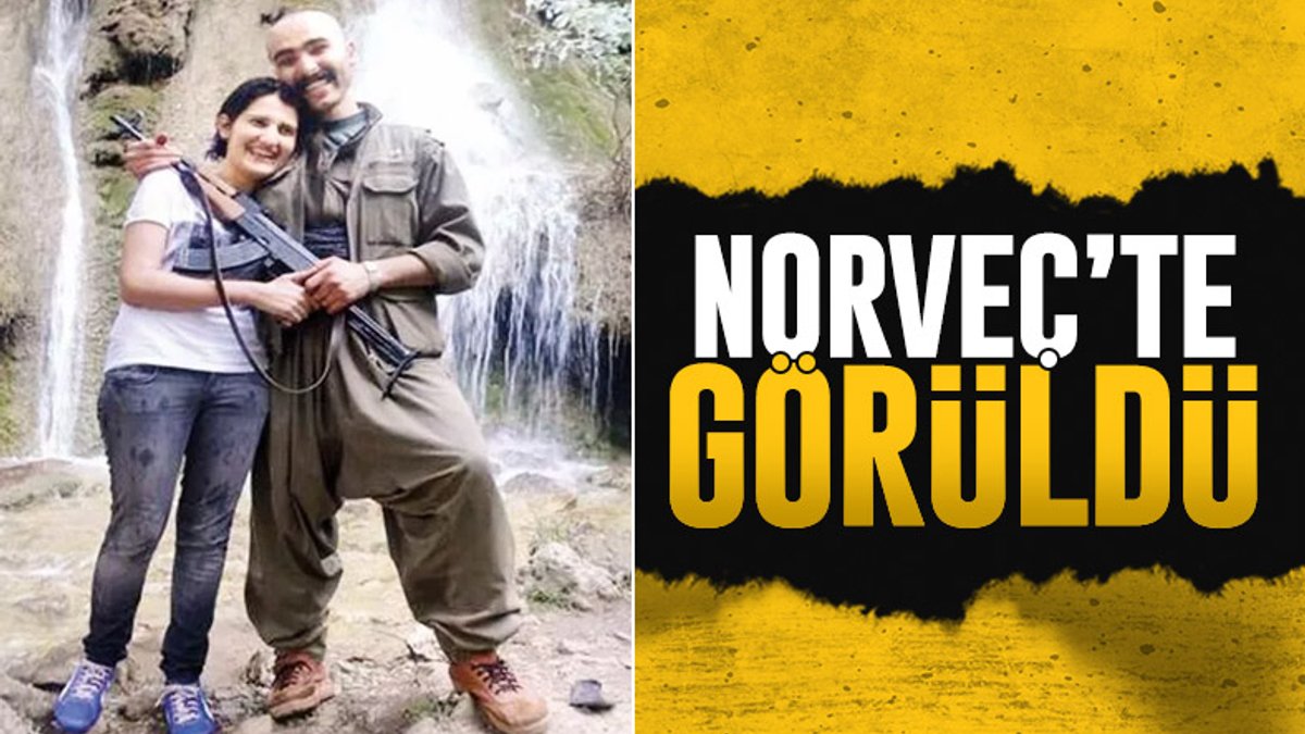 HDP'li Semra Güzel Norveç'e kaçtı