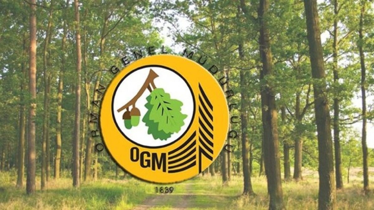 OGM personel alımı başvuru sonuçları: Orman Genel Müdürlüğü 5 bin işçi alımı kura çekimi ne zaman?