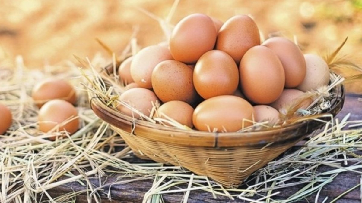 Günde iki tane haşlanmış yumurta yemenin 5 mucizevi etkisi