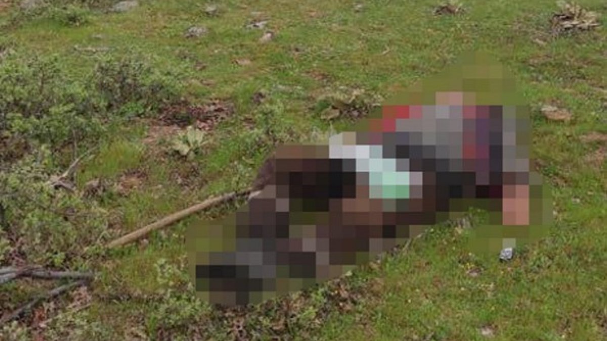 Manisa'da bir kişi kuzenini av tüfeğiyle öldürdü