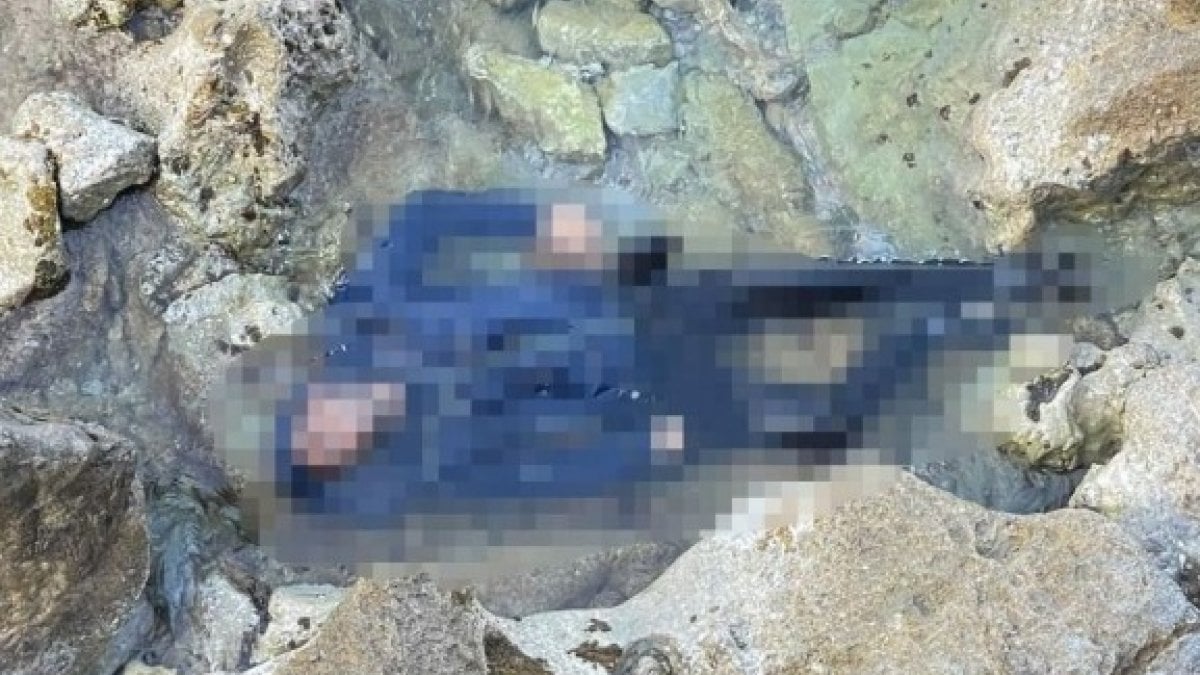 Muğla'da denizde bulunan cesedin önceden bıçaklandığı tespit edildi