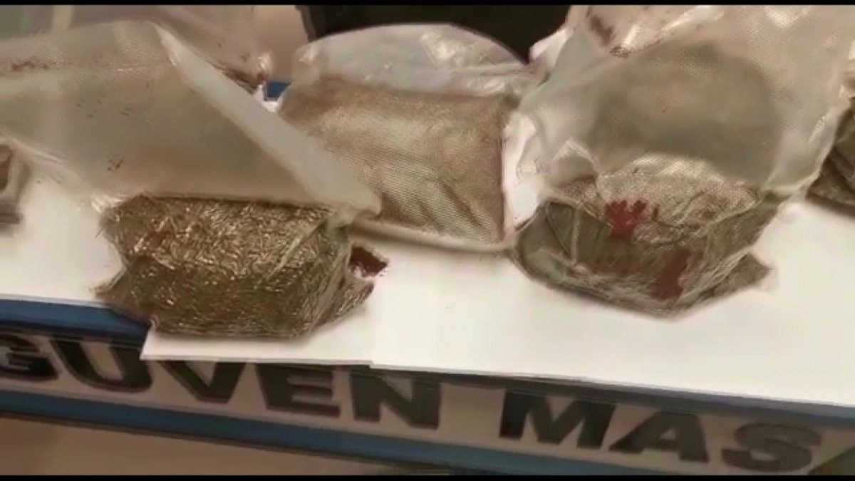 Şişli’de, kahve kamuflajlı bonzai taşıyan şahıs tutuklandı
