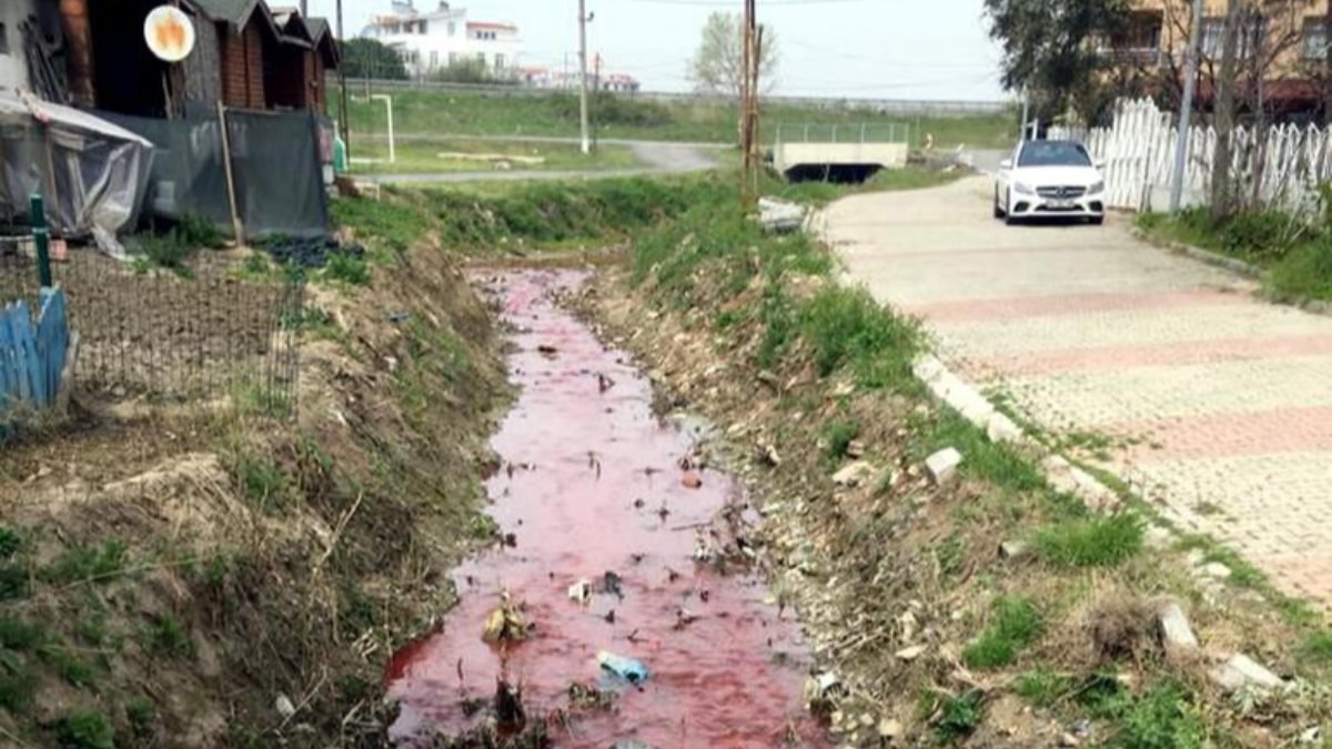 Kamara Deresi'ni kirleten tesisin, deşarj standartlarını aştığı açıklandı