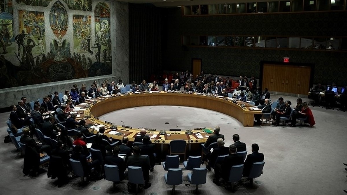 BM Genel Kurulu'ndan veto kararı