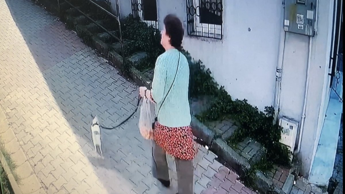 Kağıthane’de pitbull saldırısı kamerada