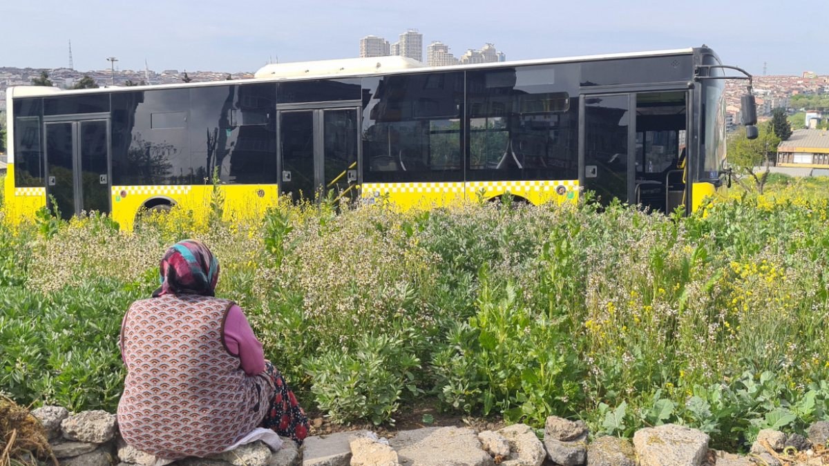 Sultangazi'deki kadın bahçesine uçan İETT otobüsüne tepki gösterdi