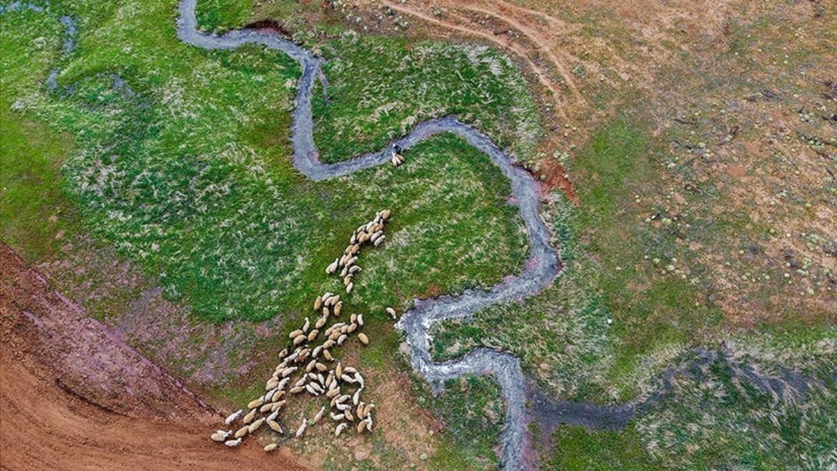 Tunceli'deki Gözeler köyü görenleri hayran bırakıyor