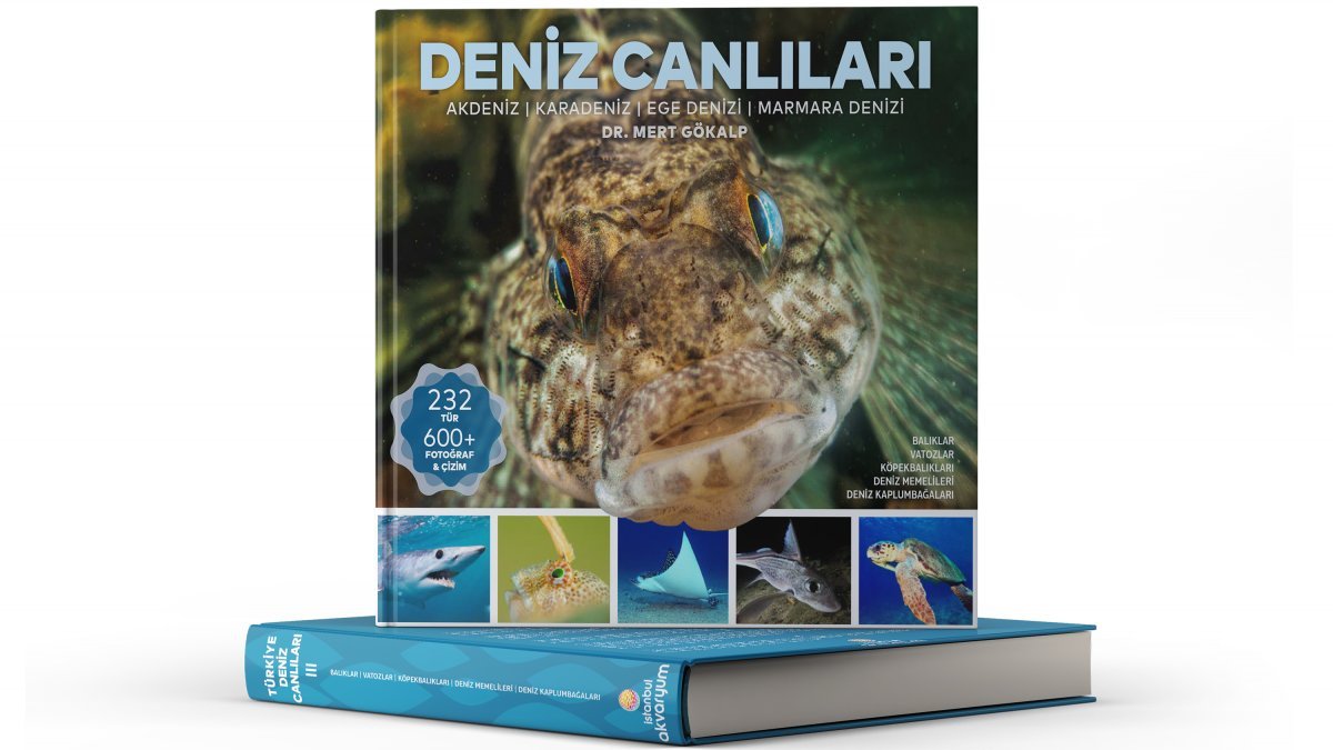 Türkiye'nin deniz canlılarıyla ilgili en kapsamlı kitap: Deniz Canlıları