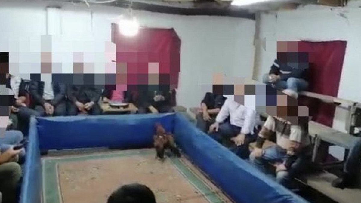 Manisa'da horoz dövüştüren 31 kişiye 56 bin lira para cezası
