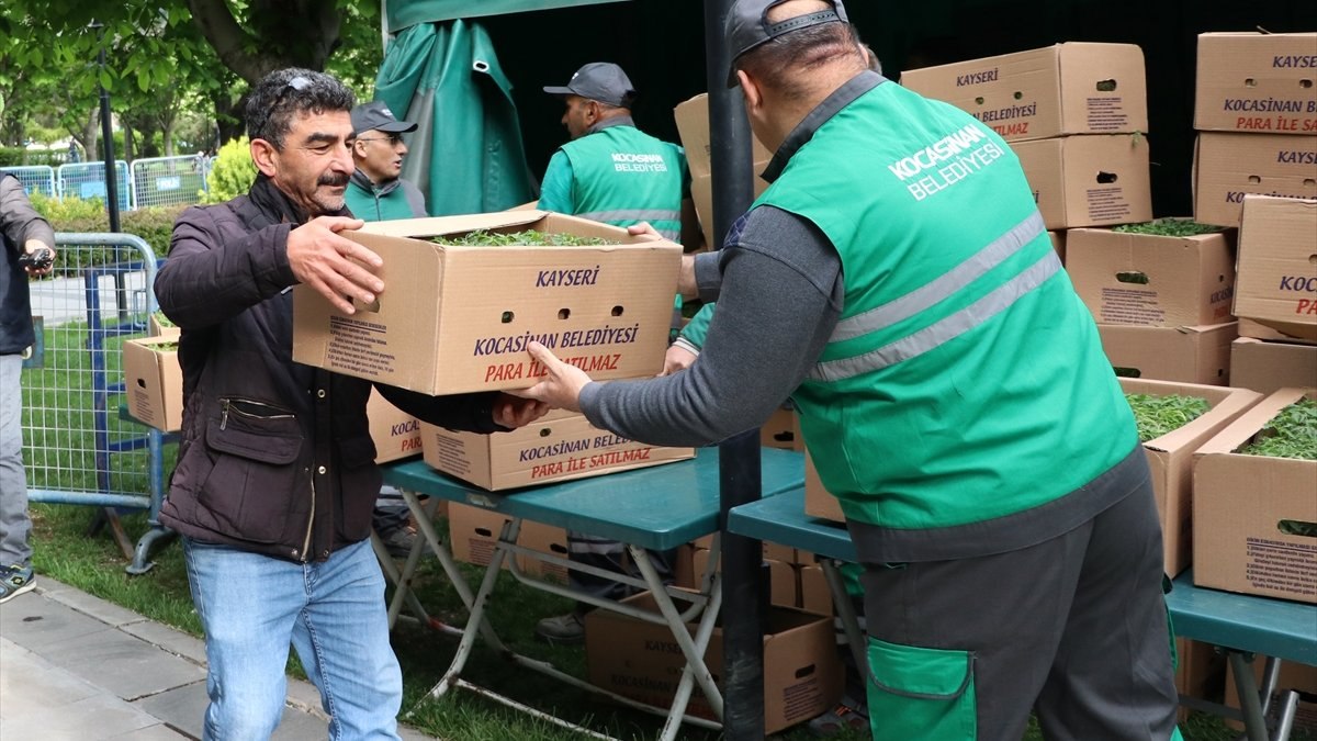 Kayseri'de organik fide dağıtıldı