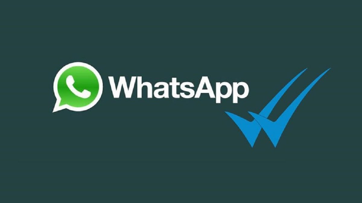 WhatsApp'ta mavi tık olmadan mesaj okumanın 4 yolu