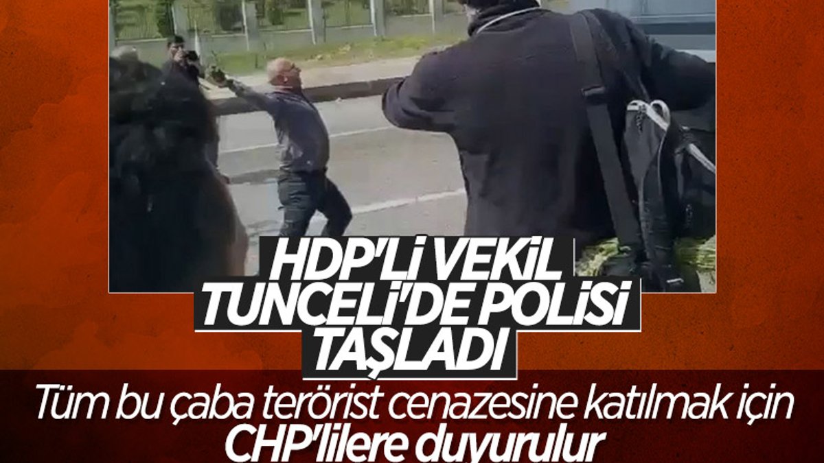 HDP'li vekil Alican Önlü'den polislere taşlı saldırı