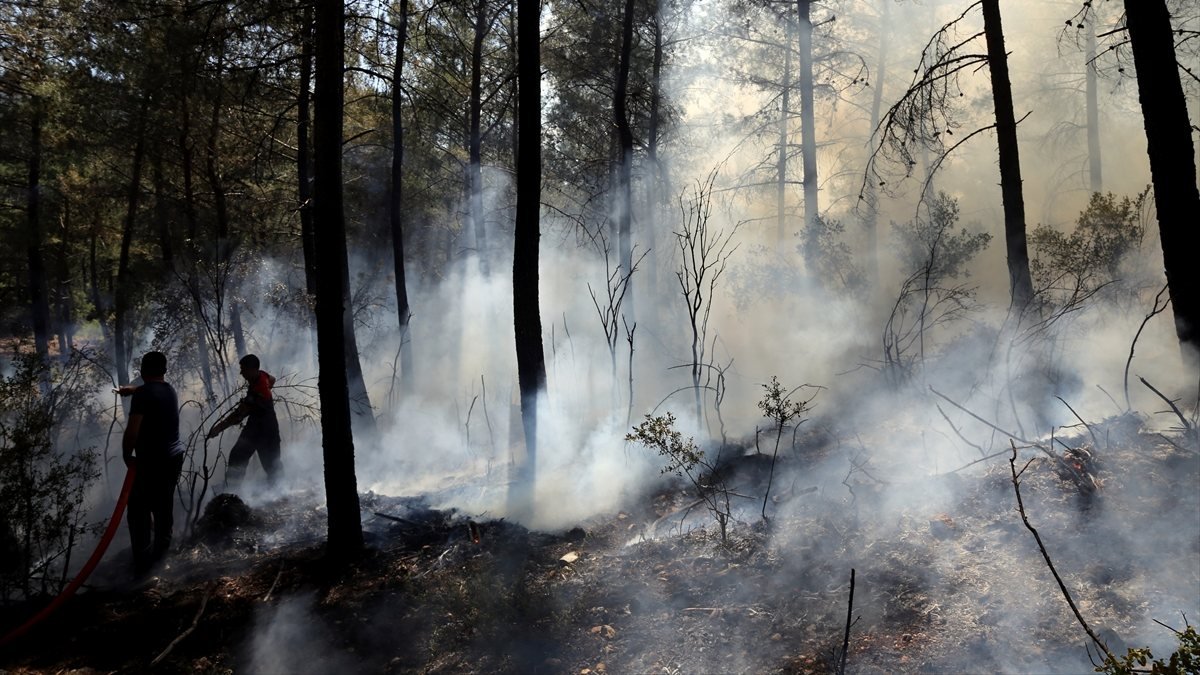Muğla'da orman yangını söndürüldü