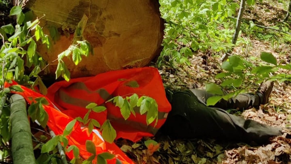 Bursa’da kestiği ağacın altında kalıp öldü