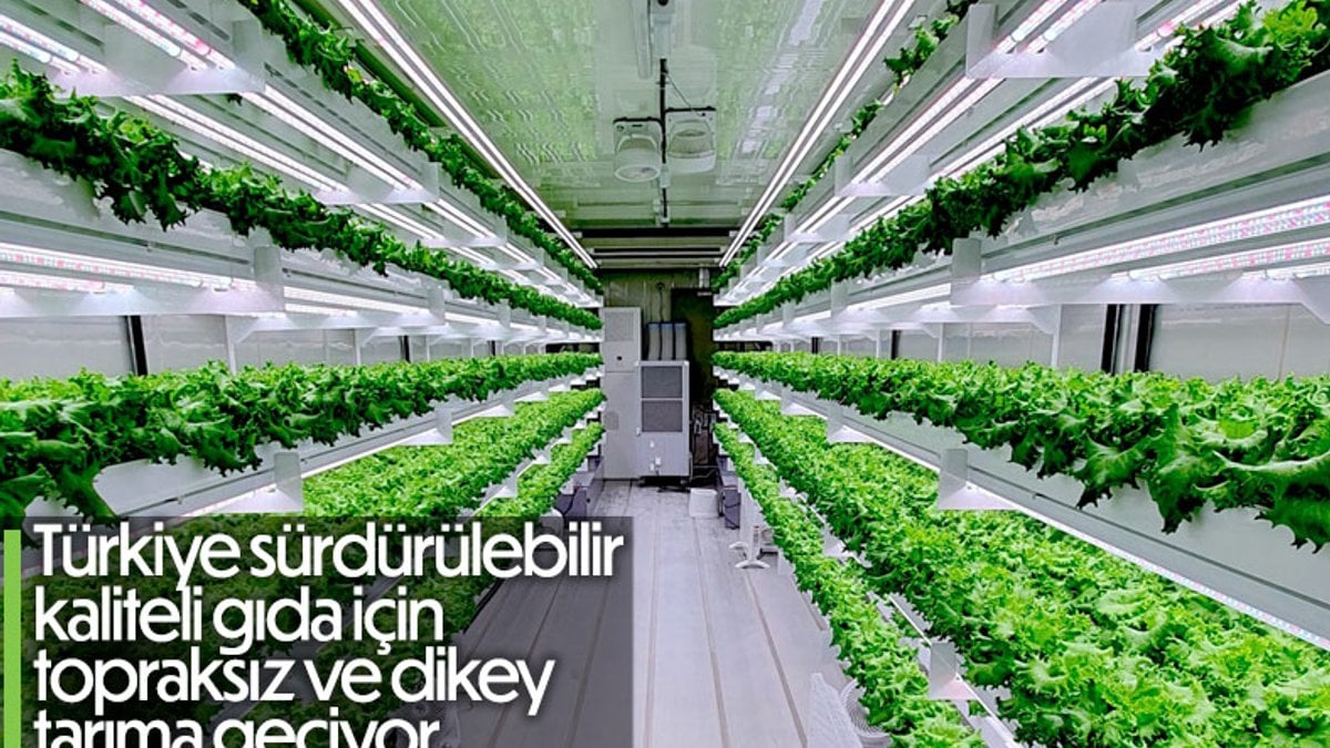Türkiye'den 'topraksız ve dikey tarım' girişimi