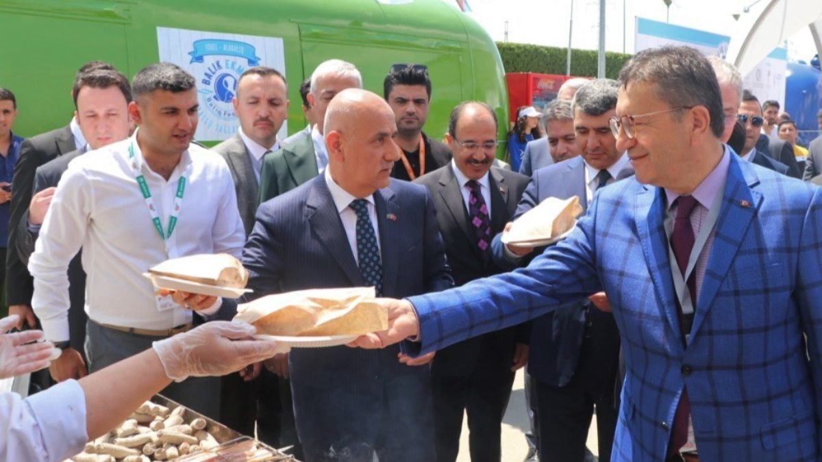 Türkiye, Bakü'de balık ekmek şenliği düzenledi