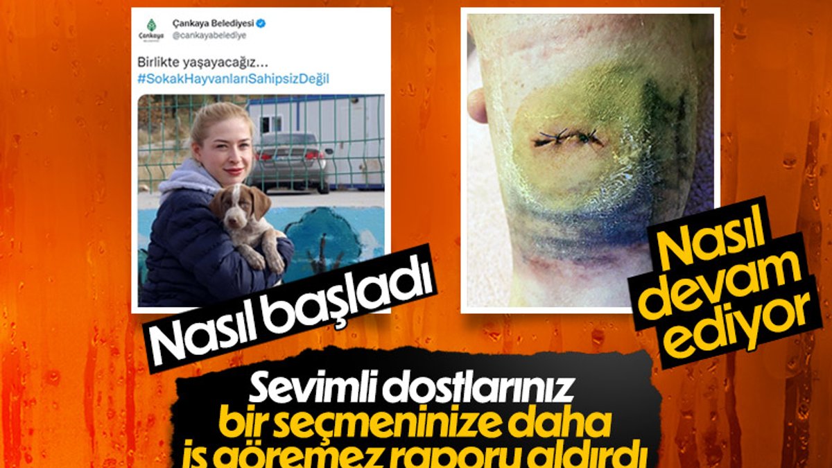 Ankara’da başıboş sokak köpekleri bir kadına saldırdı