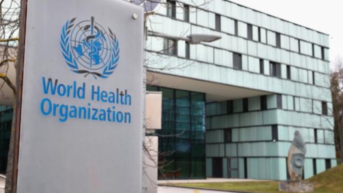 Dünya Sağlık Örgütü, maymun çiçeği virüsü vakalarını doğruladı