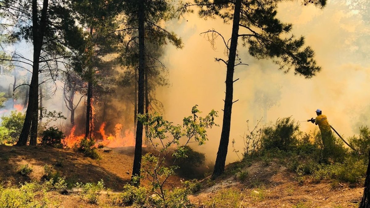 Hatay'daki orman yangınıyla ilgili 1 kişi tutuklandı