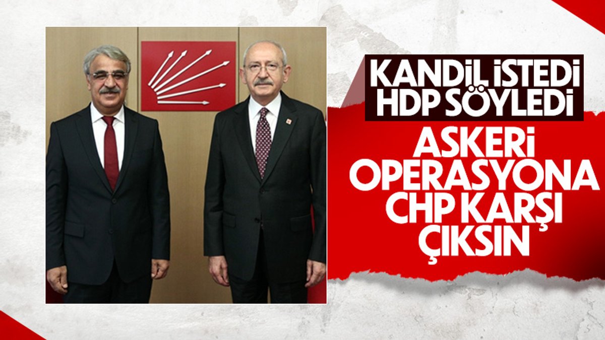 HDP, olası sınır ötesi harekata karşı çıktı