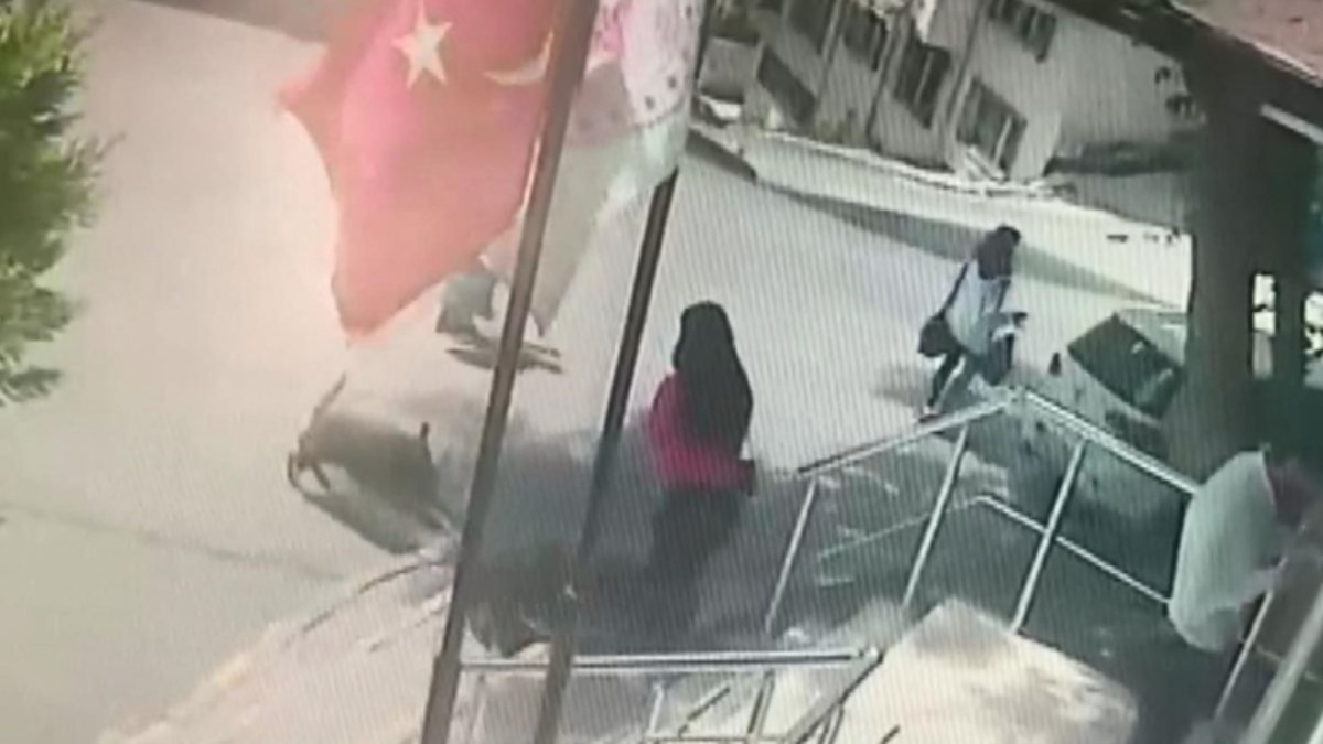 Gaziosmanpaşa'da, aile sağlığı merkezi önündeki kadına sokak köpekleri saldırdı