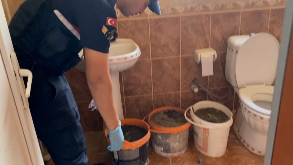 Aksaray'da banyoda, boya kutuları içerisinde kenevir bulundu