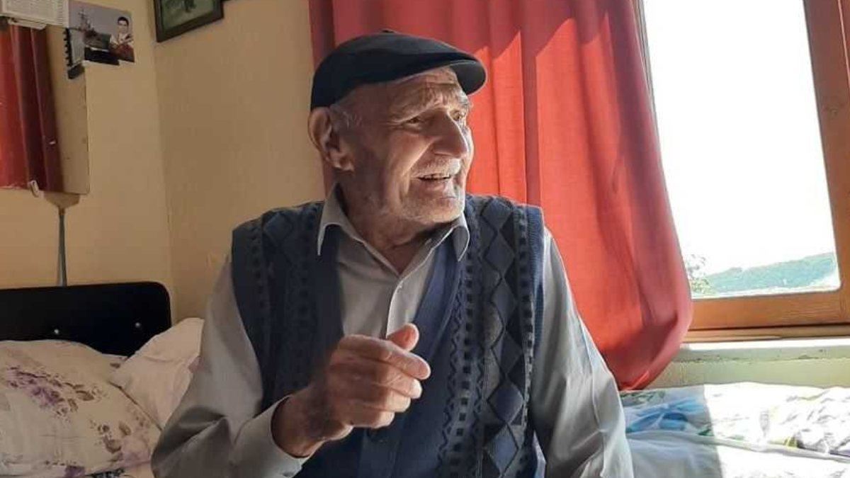Amasya'daki asırlık çınar, 98 yaşında vefat etti