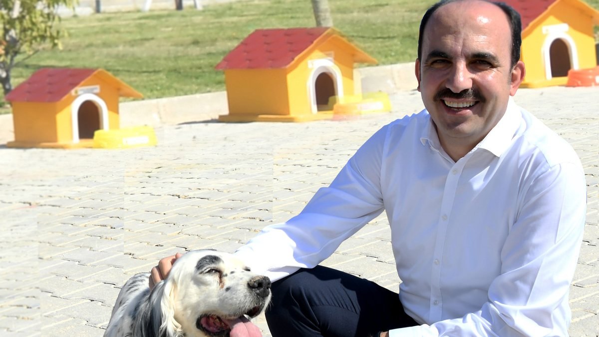 Sokak köpekleriyle mücadelede Konya'dan örnek belediyecilik